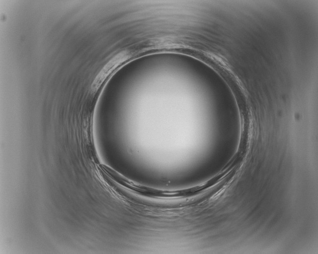 X0000056321273200508261146