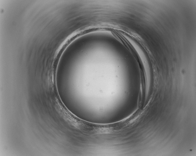 X0000056321280200508261145