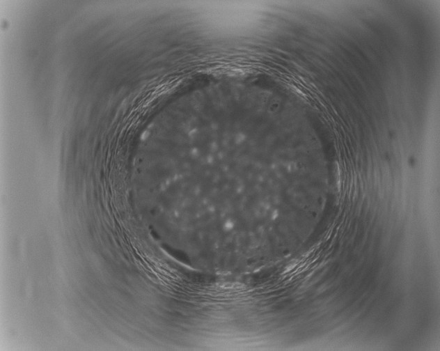 X0000056321297200508261144