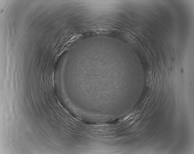 X0000056321298200508261144