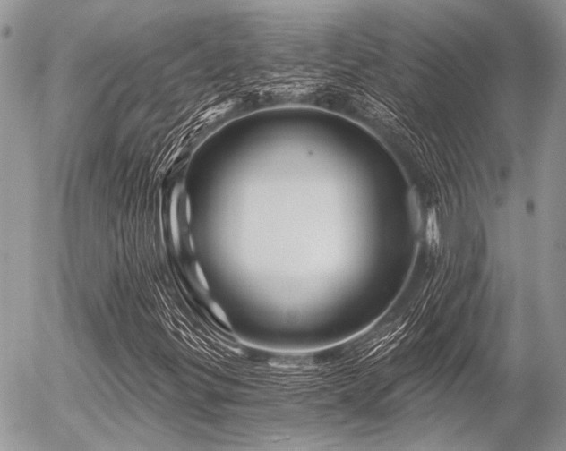 X0000056321299200508261144