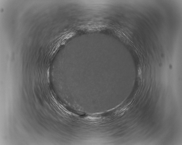 X0000056321300200508261144