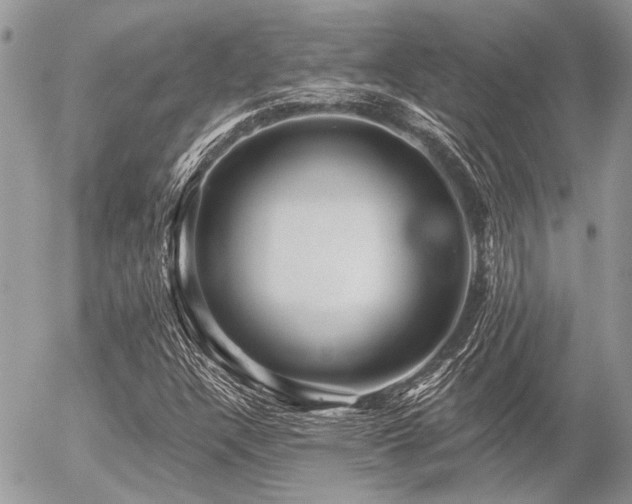 X0000056321304200508261145