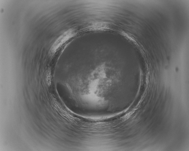 X0000056321306200508261145