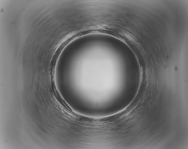 X0000056321308200508261145