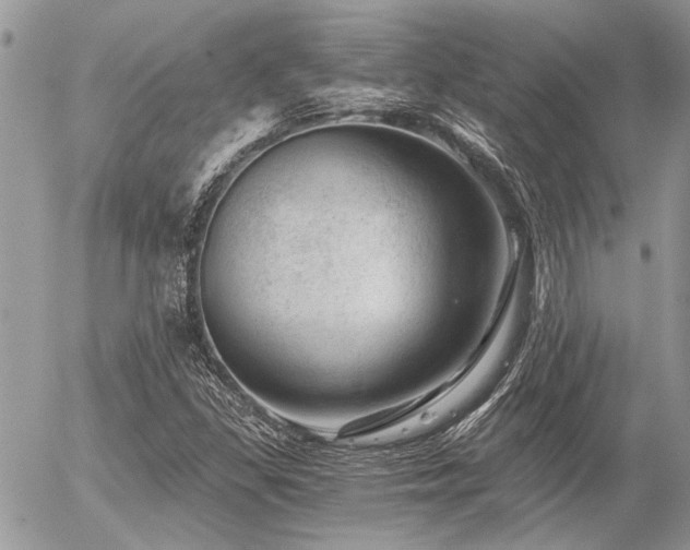 X0000056321309200508261145