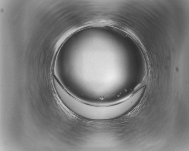 X0000056321344200508261145
