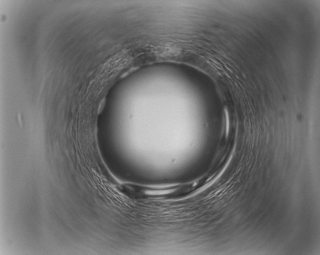 X0000056321345200508261144