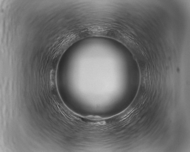X0000056321346200508261144