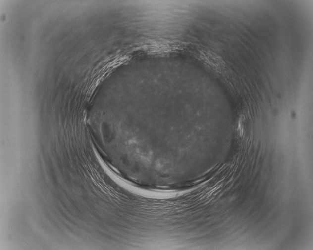 X0000056321348200508261144
