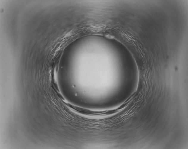 X0000056321349200508261144