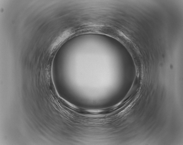 X0000056321354200508261144
