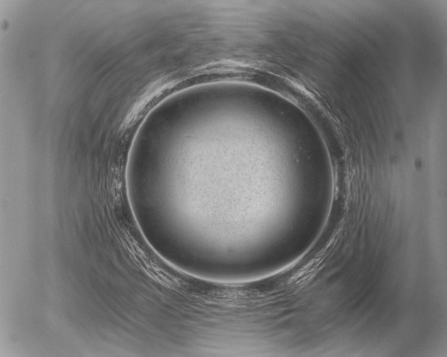 X0000056321355200508261144
