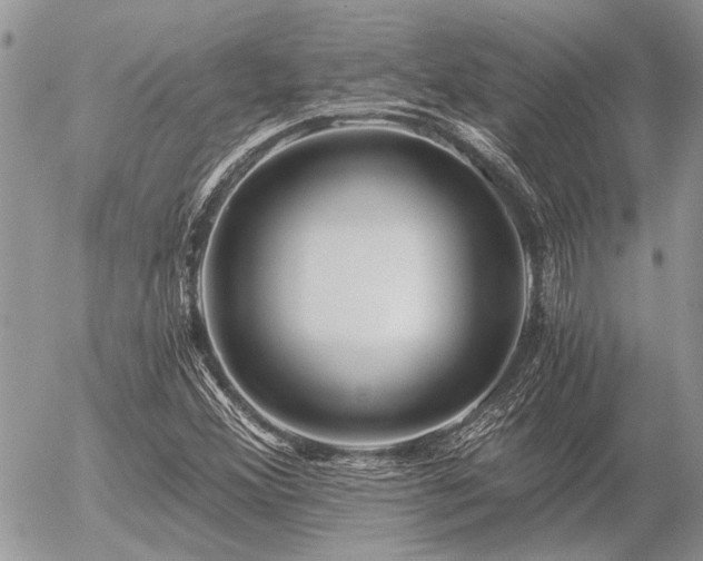 X0000056321356200508261144