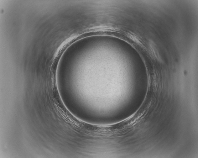 X0000056321358200508261144