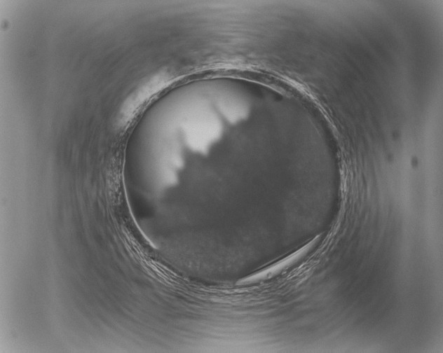 X0000056321359200508261144