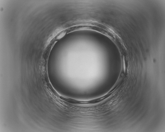 X0000056321360200508261144