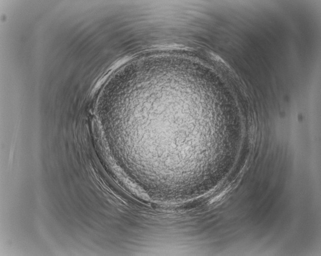 X0000056321361200508261144