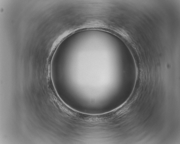 X0000056321366200508261144