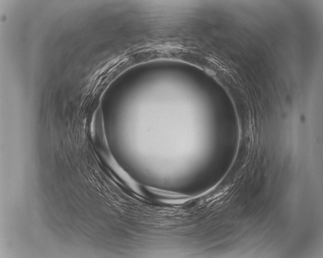 X0000056321398200508261143