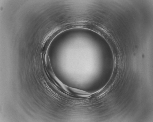 X0000056321402200508261143