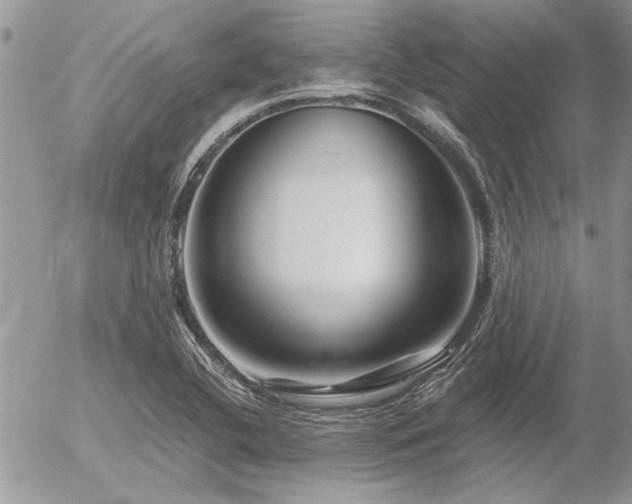 X0000056321412200508261143