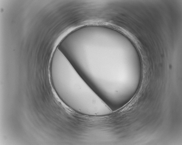 X0000056321440200508261144