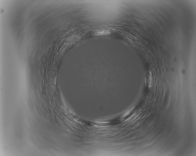 X0000056321441200508261143