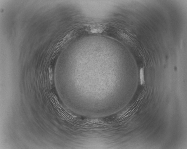 X0000056321443200508261143