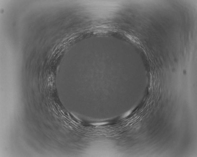X0000056321445200508261143