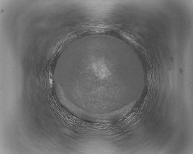X0000056321447200508261143