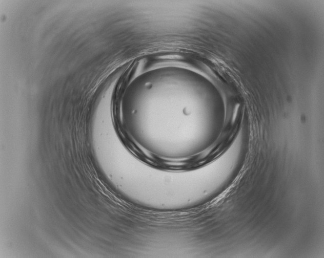 X0000056321449200508261143