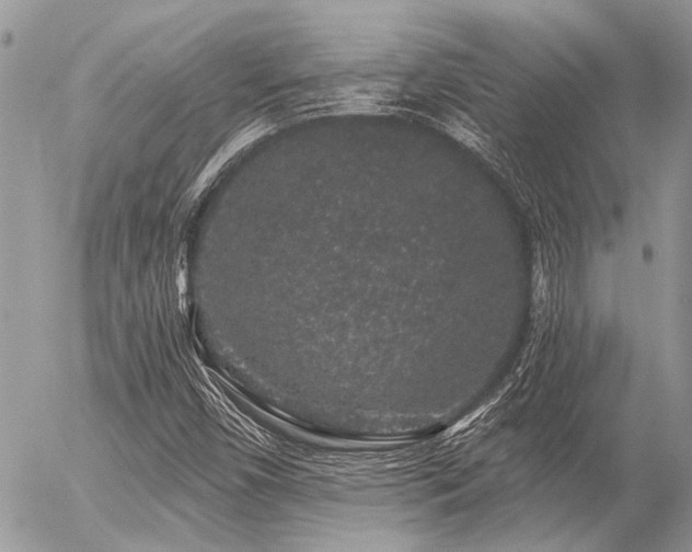 X0000056321450200508261143