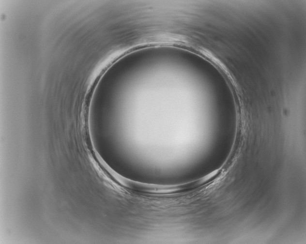 X0000056321477200508261142