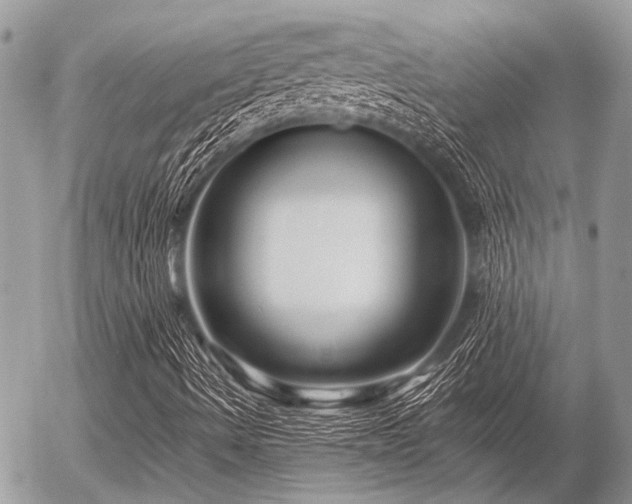 X0000056321490200508261141