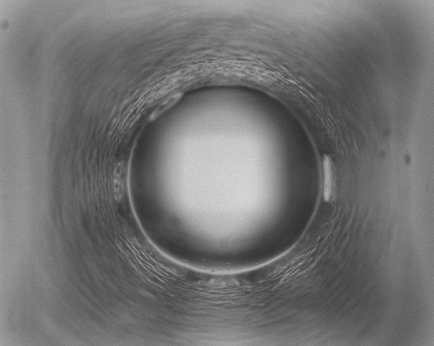 X0000056321491200508261141