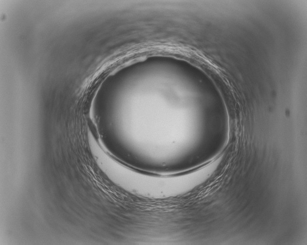 X0000056321496200508261141