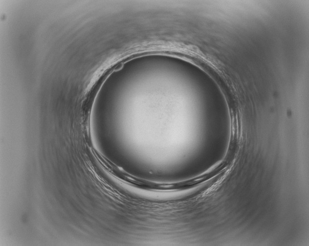 X0000056321501200508261141