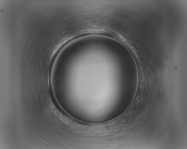 X0000056320011200508291233