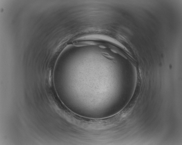 X0000056320024200508291233
