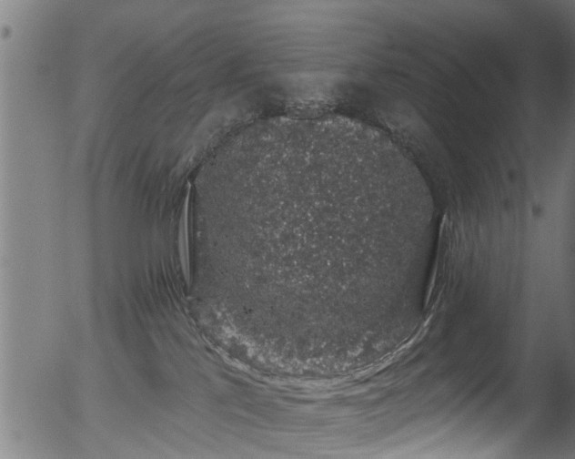 X0000056320041200508291233