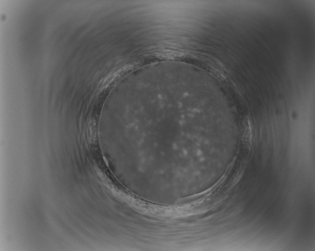X0000056320043200508291233