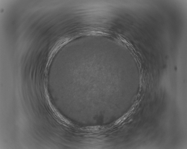 X0000056320049200508291232