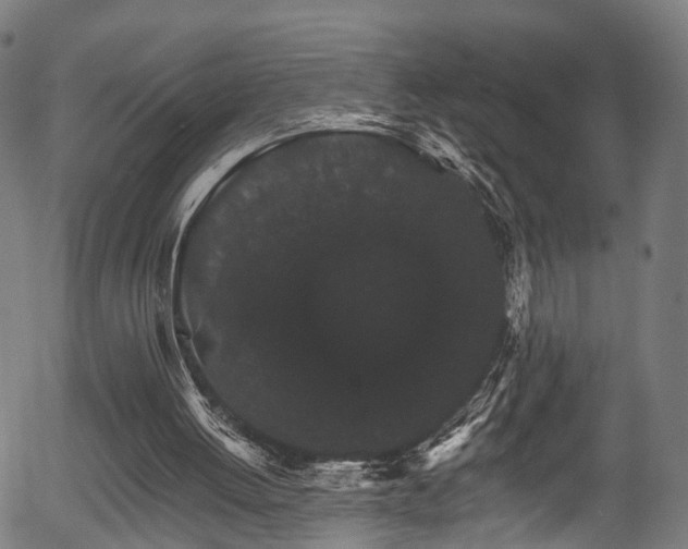 X0000056320052200508291232