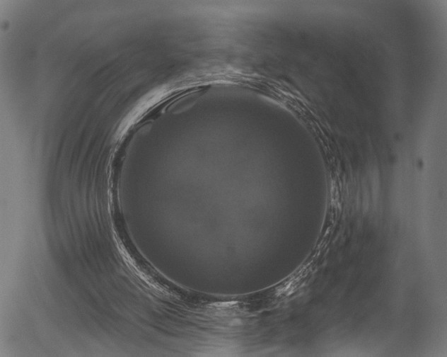 X0000056320054200508291232