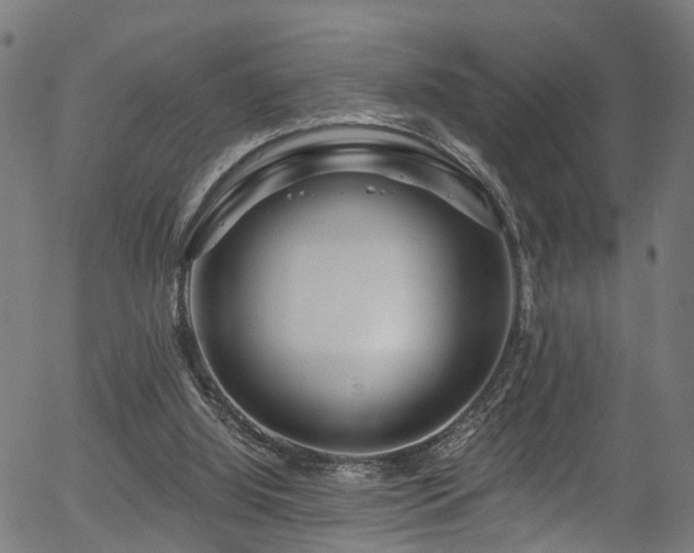 X0000056320060200508291232