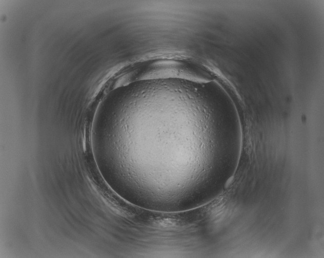 X0000056320062200508291232
