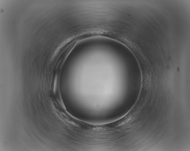 X0000056320064200508291232