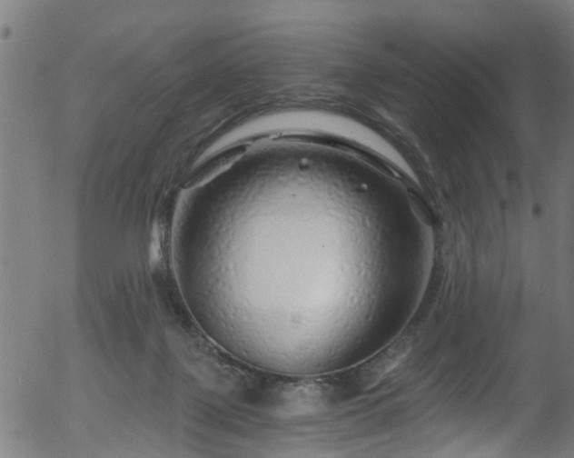 X0000056320075200508291232