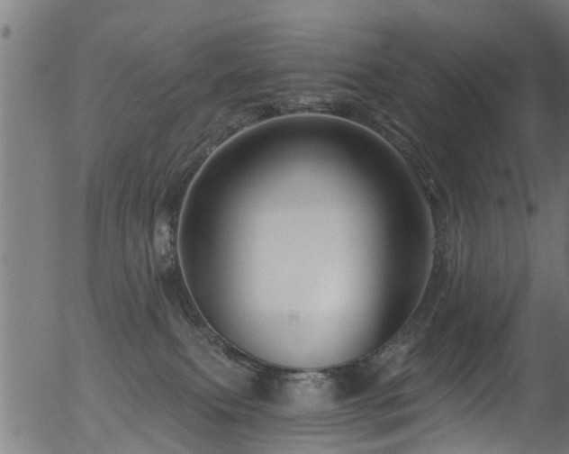 X0000056320087200508291232